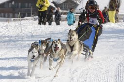 Lenk 2012 SM